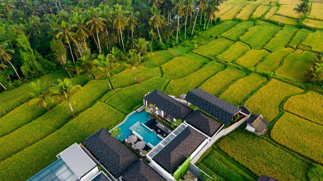 Villa Mia By Balisuperhost Ubud Buitenkant foto